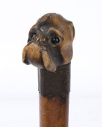 An antique English walking stick, bulldog boxwood handle with glass eyes, metal collar, Malacca cane shaft and brass ferrule, 19th century, ​88cm high - 2