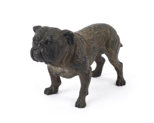 An Austrian cold painted bulldog bronze statue, circa 1900, ​10cm long