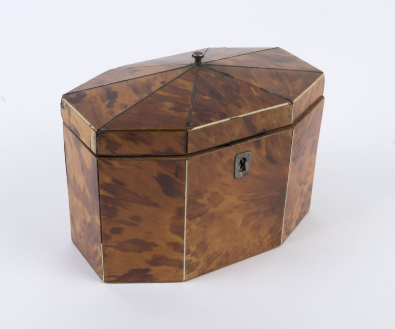 An English Georgian tortoiseshell tea caddy with twin compartments, circa 1810, ​13cm high, 17cm wide, 11cm deep