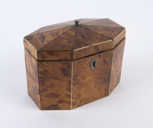 An English Georgian tortoiseshell tea caddy with twin compartments, circa 1810, ​13cm high, 17cm wide, 11cm deep