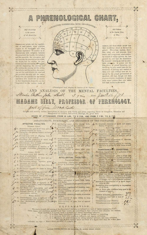 "A PHRENOLOGICAL CHART", circa 1871, printed by Edward Turner Printers And Stationers, 26 Hunter Street, Sydney, framed and glazed, 45 x 29cm