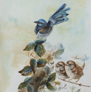 ARTIST UNKNOWN (Australian), fairy wrens, watercolour, signed lower right (illegible), 27 x 27cm