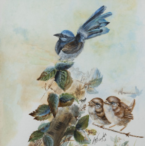 ARTIST UNKNOWN (Australian), fairy wrens, watercolour, signed lower right (illegible), ​27 x 27cm