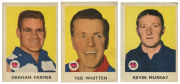 1965 SCANLENS "Footballers", selection of better cards comprising Ted Whitten (#2), Kevin Murray (#10), David Parkin (#15), Neville Crowe (#20), Graham "Polly" Farmer (#22), Darrel Baldock (#25) & Sergio Silvagni (#34), G/F. (7) - 2