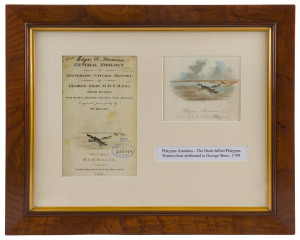 GEORGE BAIRD SHAW (1751 - 1813), Platypus Anatinus, Watercolour on paper, inscribed with title and 'The Duck-billed Platypus", 11 x 13cm.