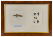 HEATH & NODDER (after), Platypus and Anatomical Details of the Platypus, watercolour on paper watermarked "1810", both inscribed verso, both 22 x 18cm. (2). - 2