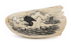 An impressive scrimshaw whale's tooth engraved with ship portrait and whaling scene, signed on both sides (illegible), ​13cm long