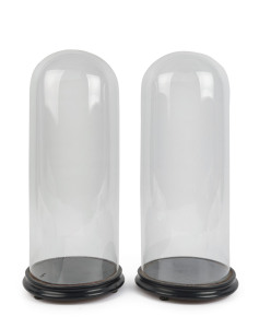 A pair of large French cylindrical glass domes on ebonised ogee moulded bases with three bun feet, late 19th century. Dome measurements 51.5cm high, 20cm diameter. (2 items)