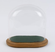 An oval French glass dome on later moulded hardwood base, late 19th and 20th century. Dome measurements 25cm high, 26cm wide, 14cm deep.