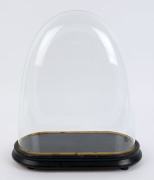 A large oval French glass dome on ebonised ogee moulded base with four bun feet, 19th century. ​Dome measurements 40cm high, 35cm wide,16cm deep.