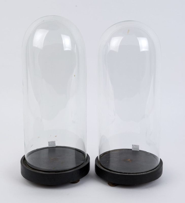 A pair of small French cylindrical glass domes on ebonised timber bases with three squat bun feet, 19th century. Domes measurements 34.5cm high, 14.5cm diameter. (2 items)