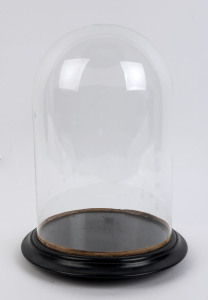 A large cylindrical French glass dome on an ebonised moulded base with three squat bun feet, 19th century. Dome measurements 35.5cm high, 21.5cm diameter.