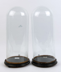 A large pair of cylindrical French glass domes on ebonised ogee moulded timber bases with three squat bun feet, 19th century. Dome measurements 49cm high, 19cm diameter. (2 items)