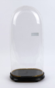 A tall oval French glass dome on ebonised ogee moulded timber base with four bun feet, late 19th century. Dome measurements 52cm high, 25cm wide, 15cm deep.