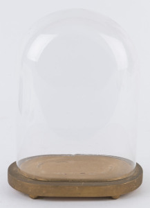 An antique glass dome on later gilded timber base, 19th century, the dome 26cm high, 19.5cm wide, 12.5cm deep