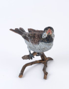 An Austrian cold painted bronze statue of a songbird on a tree branch, early 1900s, 10cm high, 11cm wide - 2