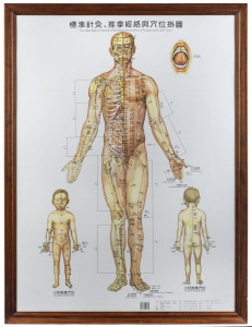 CHINESE MEDICINE: Set of 3 modern charts, each 105 x 77, framed individually and all titled "The Wall Map of standard Meridians and points of Acupuncture and Tuina." providing front, side and back views. (3 frames, each 113 x 84cm.).