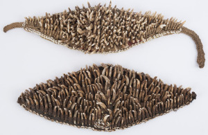 Two dog tooth headdresses adorned with shells and fibre, Southern Highlands, Papua New Guinea, 56cm and 41cm wide