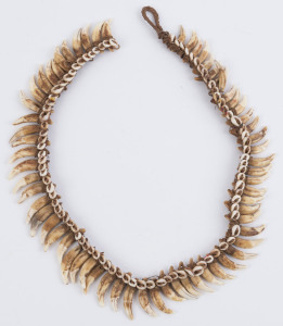 A tribal necklace, dog's tooth, shell and string binding, Papua New Guinea, ​63cm long