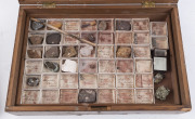 MINERAL SPECIMENS housed in a timber display box, ​the box 39cm wide - 2