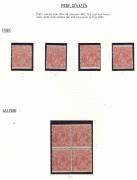 AUSTRALIA: KGV Heads - Small Multiple Watermark Perf 13&frac12; x 12&frac12;: Specialist 1&frac12;d Red collection, on annotated pages some showing lovely pen & ink 'magnified' illustrations of included varieties. Plenty of better mint items incl. perf 'OS' "Dry ink" block of