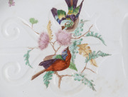 WEDGWOOD antique English porcelain meat platter with butterflies and birds, 19th century, ​impressed stamp "WEDGWOOD", 48cm wide - 4
