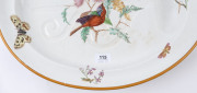 WEDGWOOD antique English porcelain meat platter with butterflies and birds, 19th century, ​impressed stamp "WEDGWOOD", 48cm wide - 5