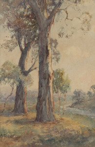 H. CARTER, Gumtrees, watercolour, signed lower left,