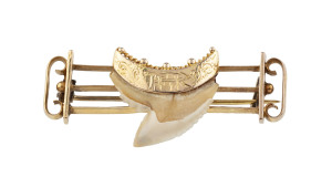 An antique bar brooch, 18ct yellow gold set with a shark's took, 19th century, ​4.5cm wide