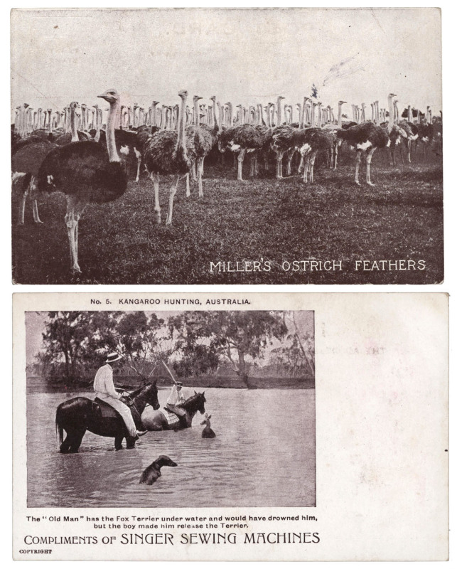 ADVERTISING: A collection of mainly Australian advertising postcards displayed in an album. Noted Sale Steamboat Co.; James Stedman; Hobbs Studio, Murwillumbah; Bensdorp's Cocoa; Singer Sewing Machines; Vitagraph; Capilla Hair Tonic; Preservene Soap; Howa