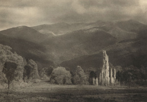 JOHN EATON (1881 - 1966) Strezlecki Ranges South Gippsland, c.1940, silver gelatin photograph, signed lower right in pencil on border, titled verso, 26.5 x 36.5cm.