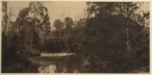 VICTORIAN RAILWAYS: Agnes River, South Gippsland, sepia print, circa 1910, 29 x 59cm from a series of photographs displayed in Victorian Railway carriages.