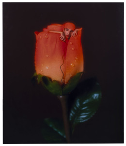 LOCU LOCU, Flower Self, 2002, Type C photographic print, #4 of an edition of 6, ​125 x 106cm.