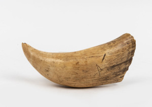 An antique whale's tooth, 19h century, ​16.5cm high