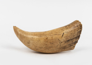 An antique whale's tooth, 19h century, 16.5cm high