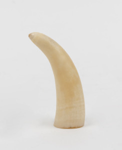 A sperm whale tooth, 20th century, 6.5cm high