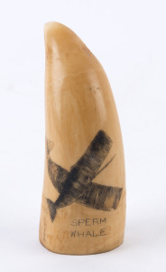 A scrimshaw whale's tooth titled "SPERM WHALE", 9cm high