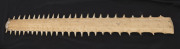 A swordfish rostrum (bill), 19th/20th century, 98cm long