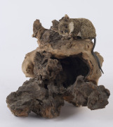 Five Australian ceramic animal ornaments mounted on mallee root, 20th century, the largest 41cm high - 3