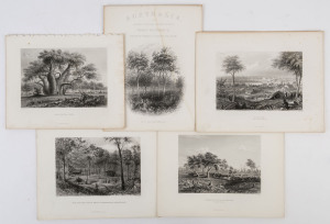 QUEENSLAND & NORTHERN TERRITORY: A group of five full page steel engraved plates from "Australia by Edwin Carton Booth", engraved from drawings and paintings by Baines, Armytage, and Carr: comprising "Brisbane", "The Boadab Tree", "New Zealand Gully near 