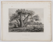 QUEENSLAND & NORTHERN TERRITORY: A group of five full page steel engraved plates from "Australia by Edwin Carton Booth", engraved from drawings and paintings by Baines, Armytage, and Carr: comprising "Brisbane", "The Boadab Tree", "New Zealand Gully near - 3