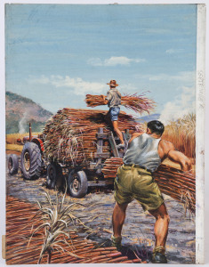 COVER ARTWORK FOR 'DIGEST OF DIGESTS' MAGAZINE: image for September edition showing a Sugar Cane harvesting scene, 50x37cm, on board, c.1950s.