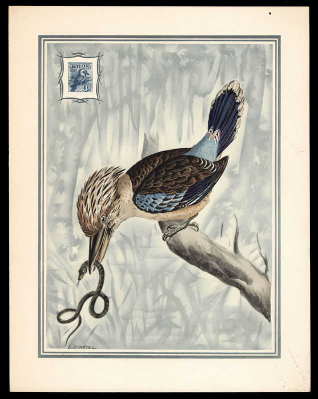 AUSTRALIA: Other Pre-Decimals: The 1928 3d blue Kookaburra: Helio-Vaugirard Proof of the 1928 3d Kookaburra inset into a colour lithographic painting of the bird by L. Screpel. Overall32 x 25cm; with printed tissue overlay, as issued, circa 1949.