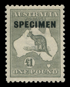 AUSTRALIA: Kangaroos - Third Watermark: £1 Grey SPECIMEN, Type D, very well centred and lightly mounted. BW:53xh. Cat.$375.