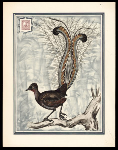 NEW SOUTH WALES: The 1889 8d Lyrebird: Helio-Vaugirard Proof of the 1889 8d lilac Lyrebird inset into a colour lithographic painting of the bird by L. Screpel. Overall 32 x 25cm; with printed tissue overlay, as issued, circa 1949.