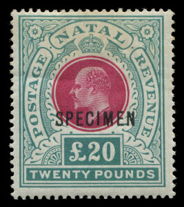 SOUTH AFRICA - Provinces: NATAL: 1902 (SG.145bbs) Edward VII £20 red & green "POSTAGE & REVENUE" definitive overprinted SPECIMEN; o.g. slightly discoloured from earlier hinge. Cat.£650.