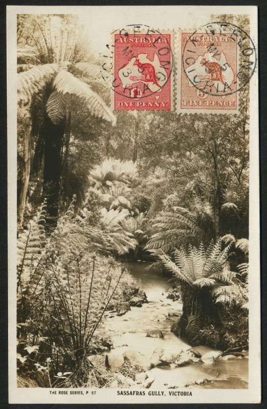 AUSTRALIA: Kangaroos - First Watermark: 5d Chestnut plus 1d Red Die I tied to view side of unaddressed real-photo postcard ("Sassafras Gully, Victoria") by GEELONG 'MY5/13' datestamps. Very fine condition.