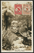 AUSTRALIA: Kangaroos - First Watermark: 5d Chestnut plus 1d Red Die I tied to view side of unaddressed real-photo postcard ("Sassafras Gully, Victoria") by GEELONG 'MY5/13' datestamps. Very fine condition.