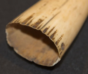 TABUA scrimshaw whale's tooth, 19th century. An unusual combination of a Fijian chieftain's whale tooth pendant that has been souvenired by a sailor and decorated at some later point with biblical scene of Abraham about to sacrifice Isaac. A rare example. - 8