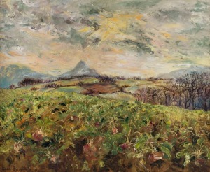 TESSA PERCEVAL (b.1947) Field of swedes in Herefordshire, oil on canvas, signed and dated '76 lower left, 63 x 78cm.